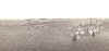 Copie de st-tropez.jpg (92076 octets)
